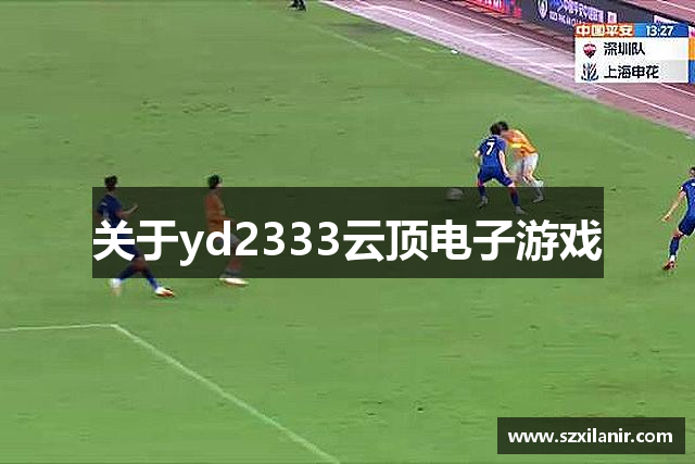 关于yd2333云顶电子游戏